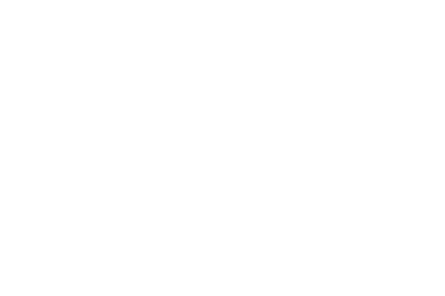 Gastos médicos mayores