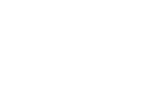Seguro de mascotas